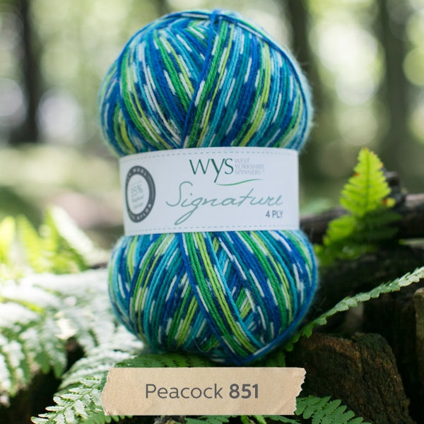 Signature 4 Ply Sock Yarn – Quixotic Fibers