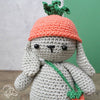 Frank Rabbit Crochet Kit