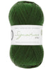 Signature 4 Ply Sock Yarn