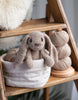 Emma the Bunny Edward's Menagerie Crochet Kit