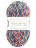 Signature 4 Ply Sock Yarn