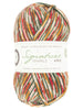 Signature 4 Ply Sock Yarn